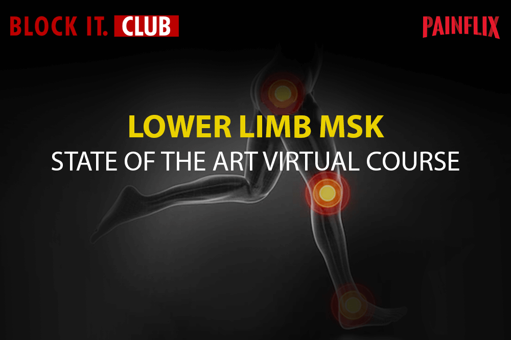 State of the Art Virtual Course Lower Limb MSK